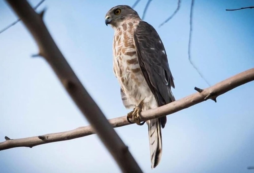 فندق Thour Nature Resorts