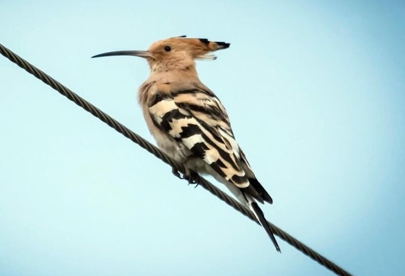 فندق Thour Nature Resorts