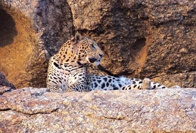 فندق Thour Nature Resorts