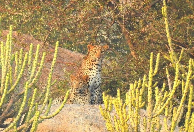 فندق Thour Nature Resorts