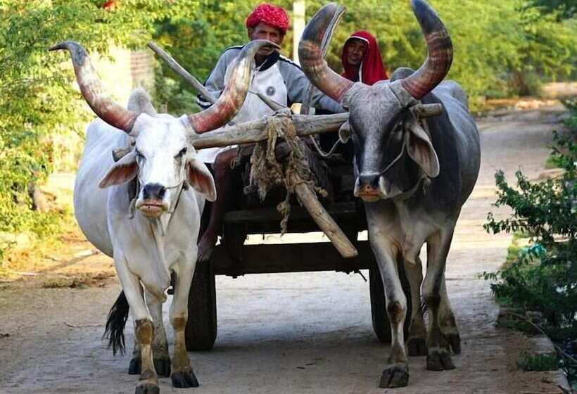 فندق Thour Nature Resorts