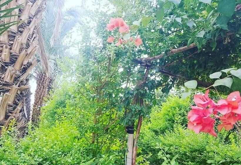 پانسیون Camping Amasttou