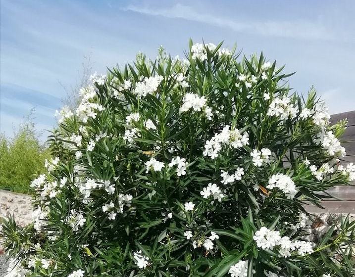 بنسيون Chambre Privée A La Campagne