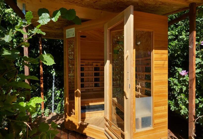 פנסיון Domaine De Bersaillin