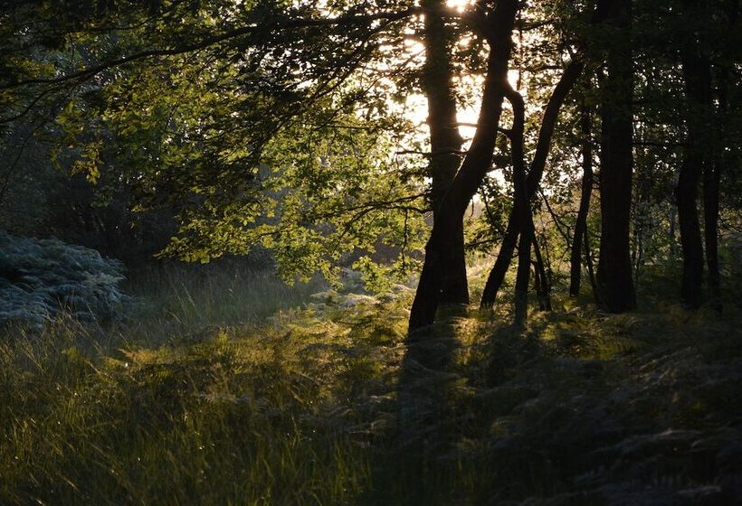 Пансион Domaine De Chez Peyraud