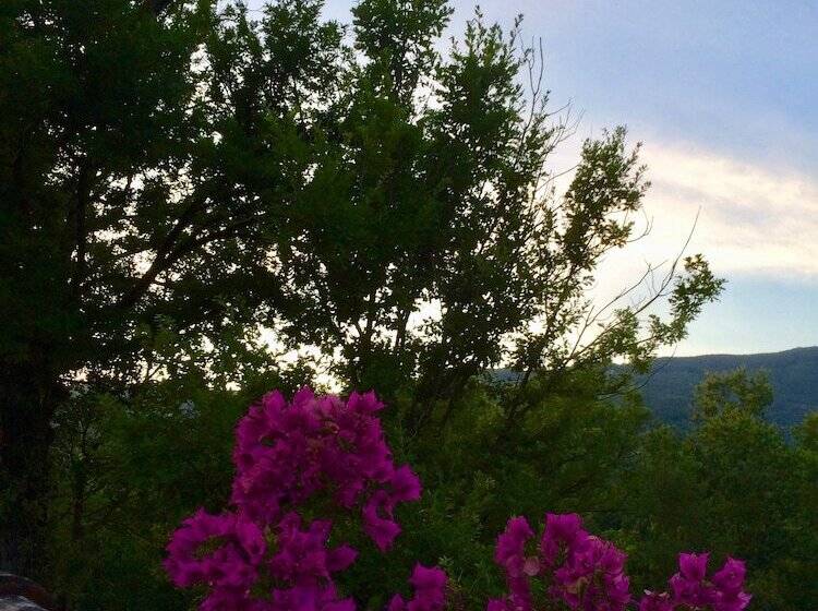 פנסיון Gioi Villa Rizzo Lovely Rooms