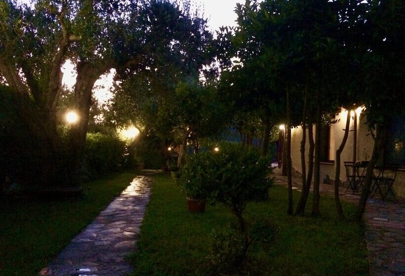 פנסיון Gioi Villa Rizzo Lovely Rooms