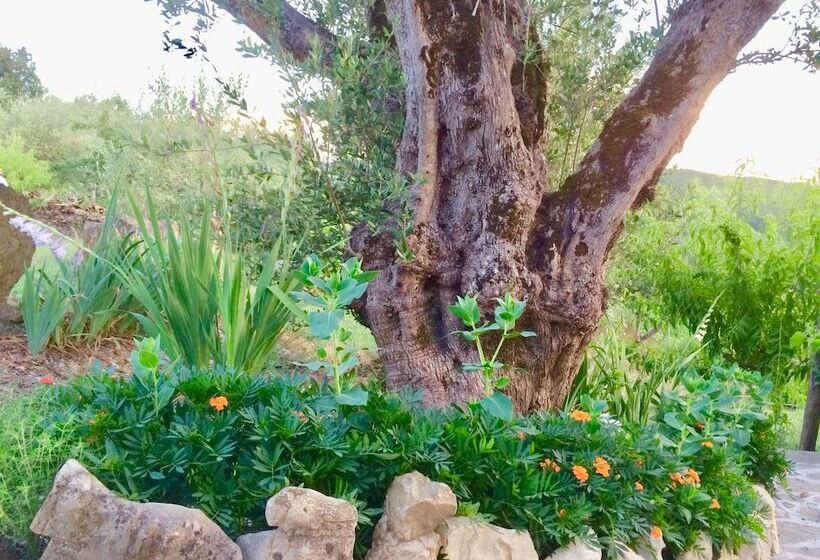 פנסיון Gioi Villa Rizzo Lovely Rooms