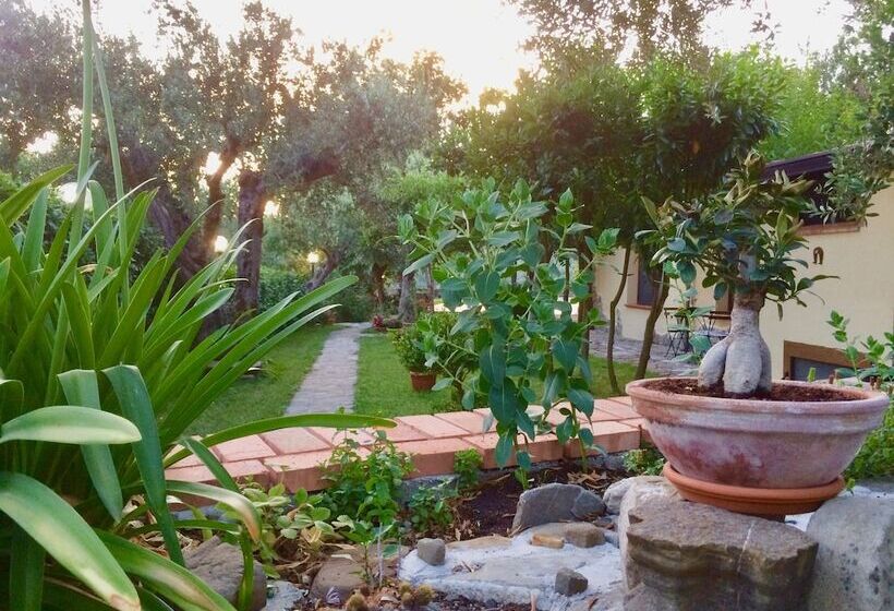 פנסיון Gioi Villa Rizzo Lovely Rooms