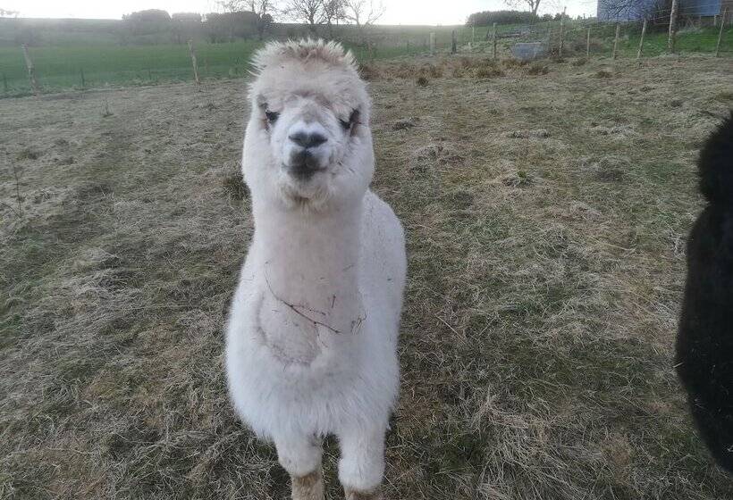 פנסיון Krishna Eco Farm