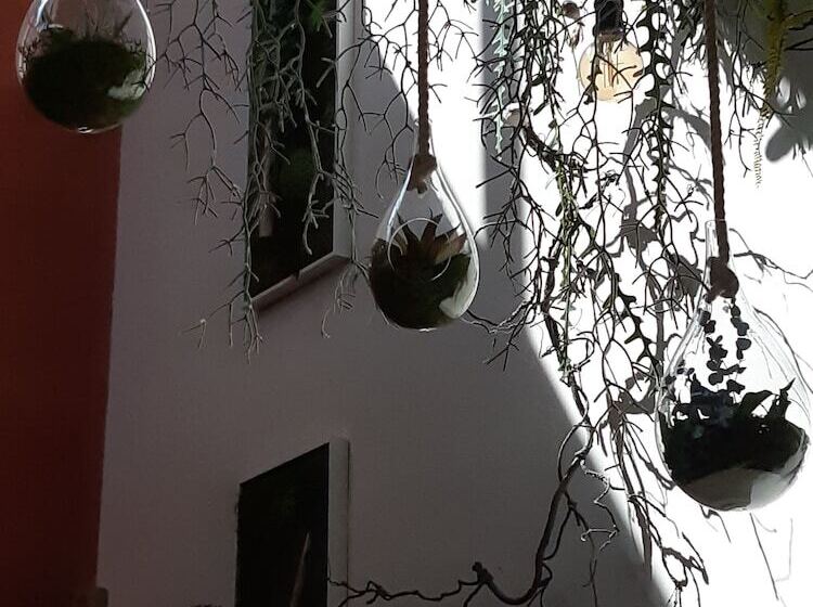 Пансион La Villanelle Chambres D Hotes Et Institut Bien Etre