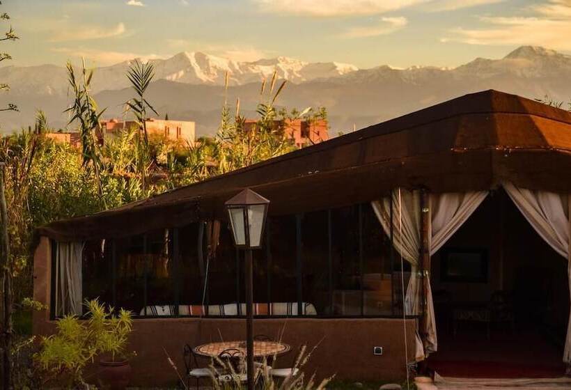 بنسيون Les Asnouss