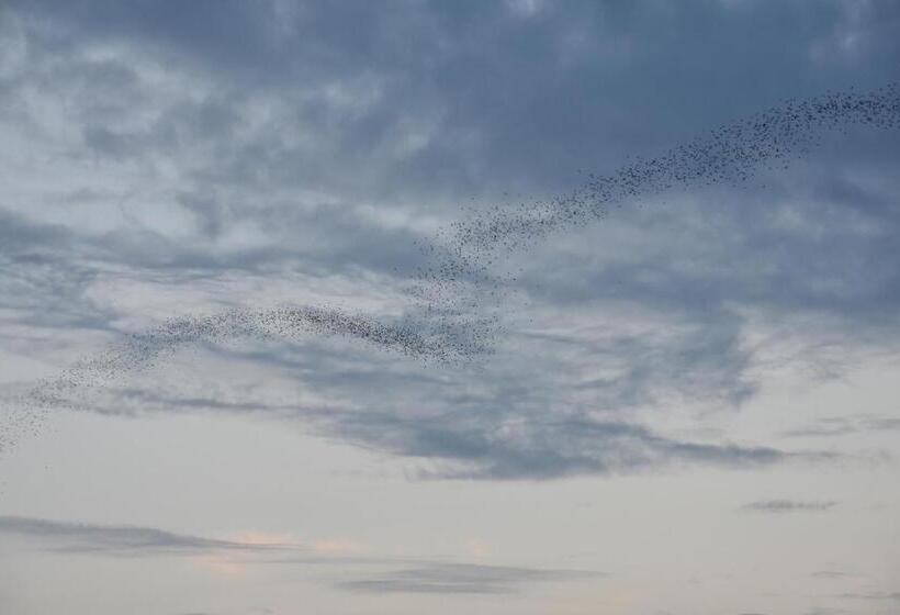 Пансион Ora Sunrise View