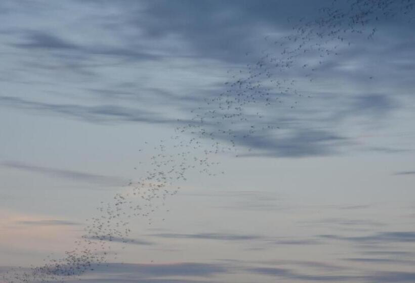 Пансион Ora Sunrise View