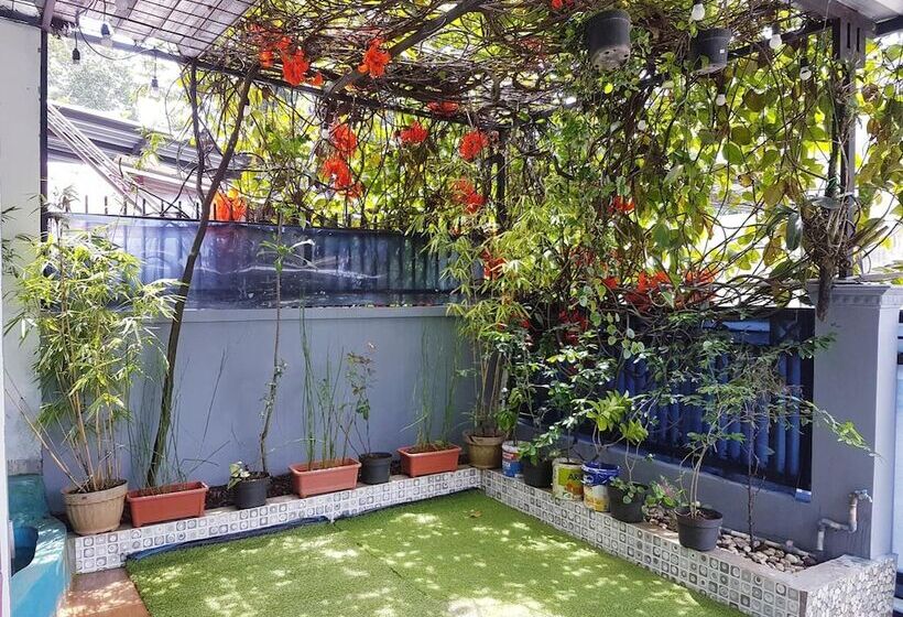 ペンション Panda Homestay