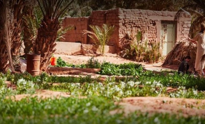 Пансион The Zaïd Garden