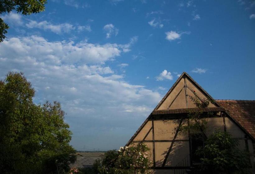 펜션 Unter Der Linde