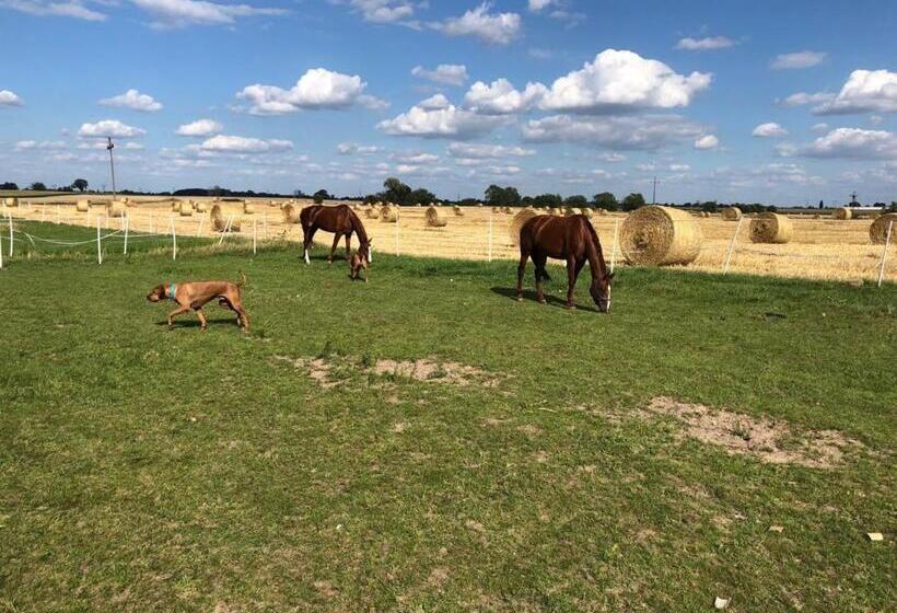 פנסיון Willa Stara Wozownia