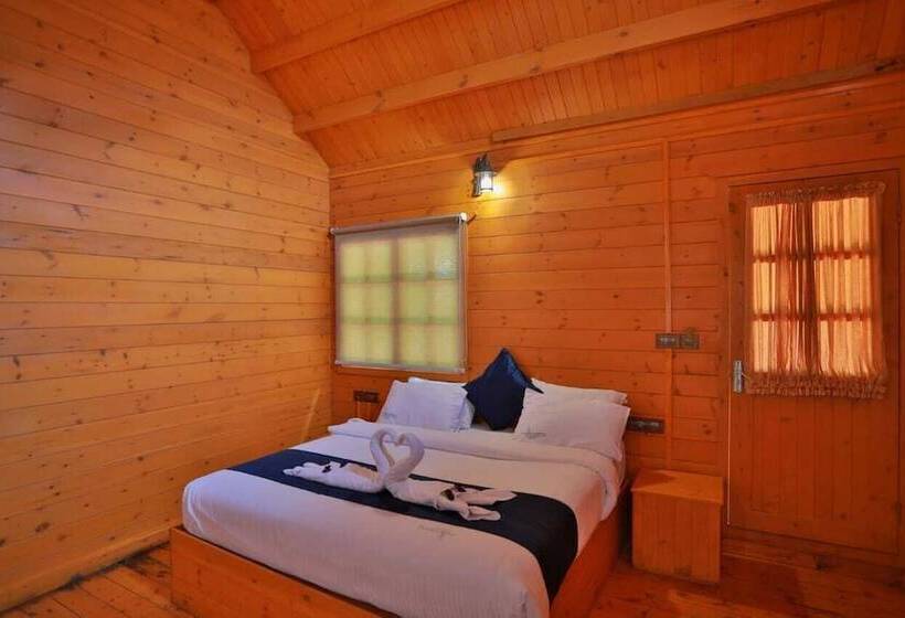 渡假胜地 Camellia And Elettaria