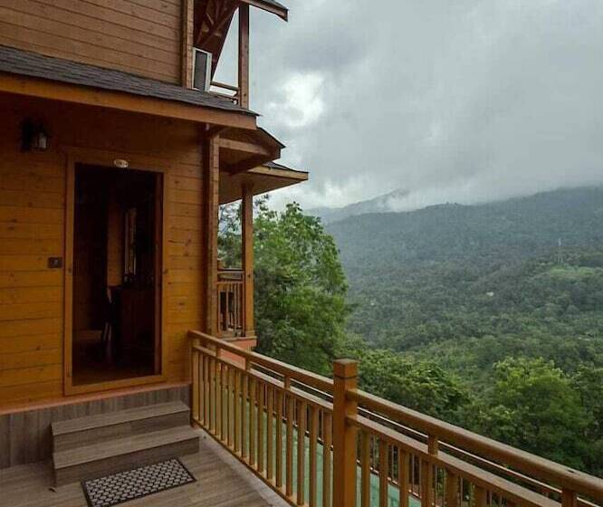 渡假胜地 Camellia And Elettaria