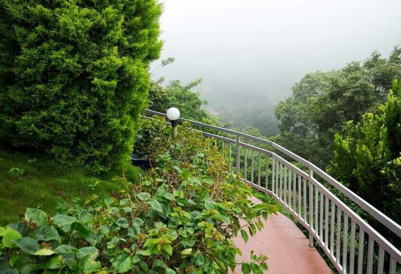 渡假胜地 Camellia And Elettaria