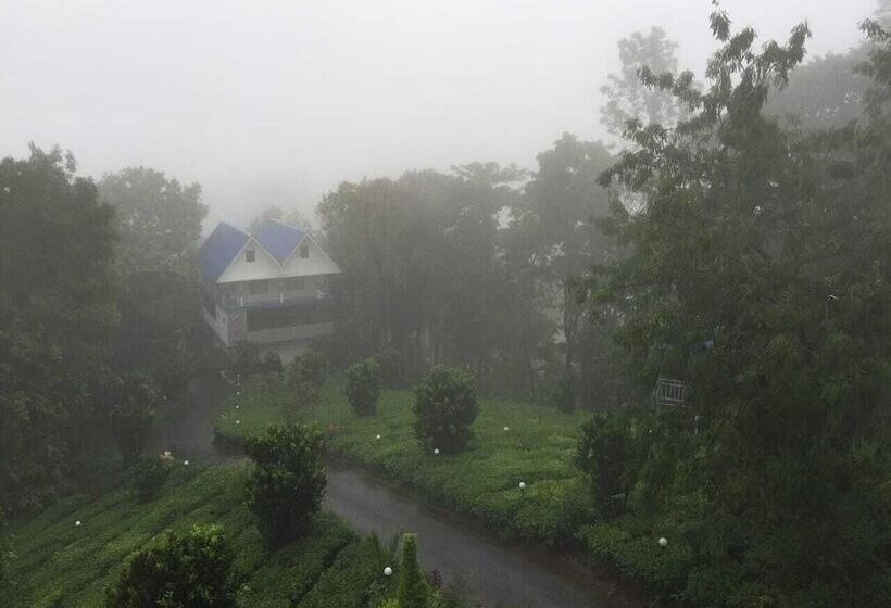 渡假胜地 Camellia And Elettaria