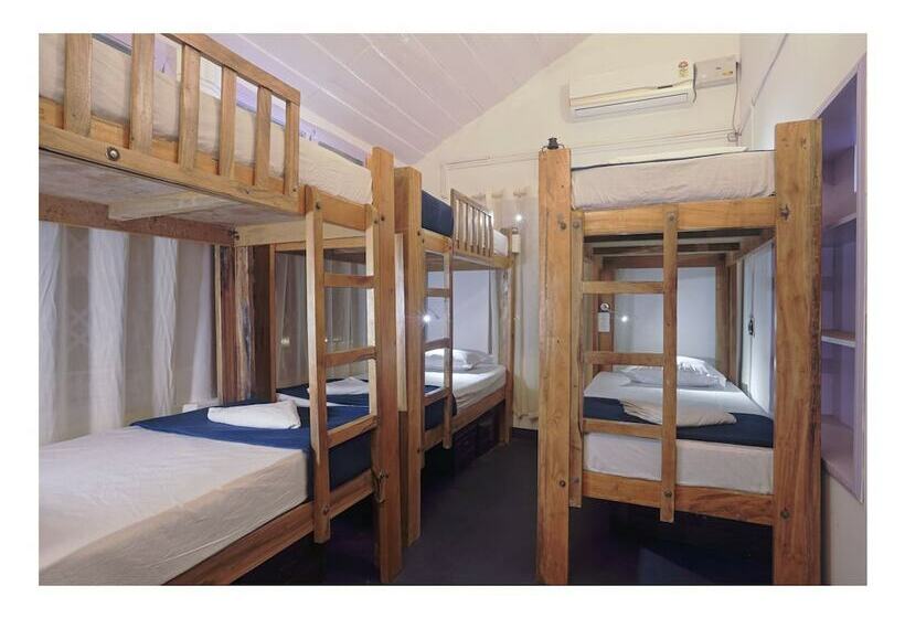 Zostel Coorg   Hostel