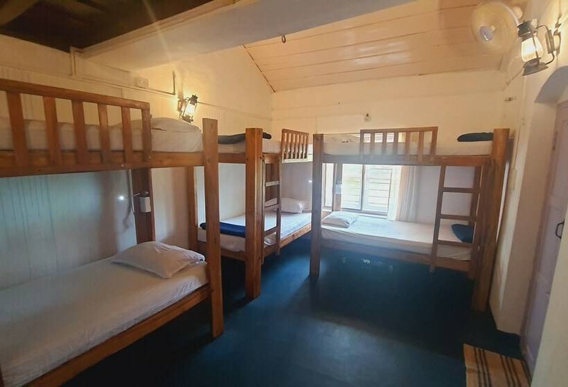 Zostel Coorg   Hostel