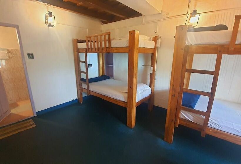 Zostel Coorg   Hostel