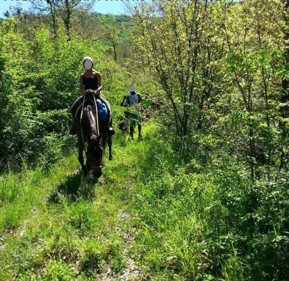 B&b Il Girasole   A Casa Di Ale