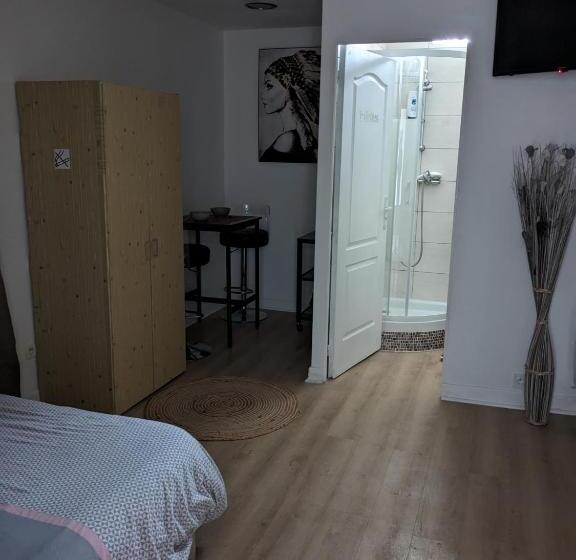 민박 à 7 Minutes De L Aéroport Cdg 1