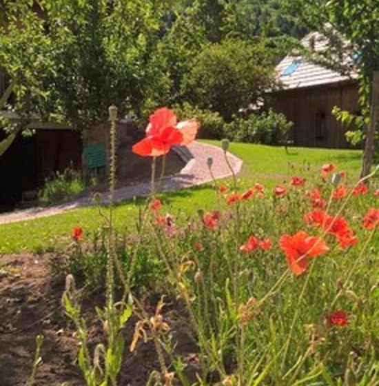 צימר A L Ombre Du Verger