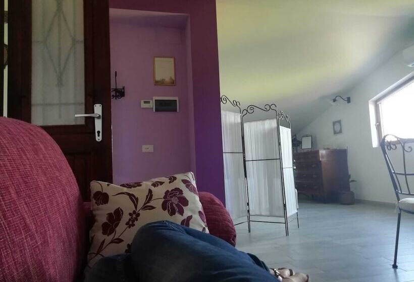 צימר Books&bikes