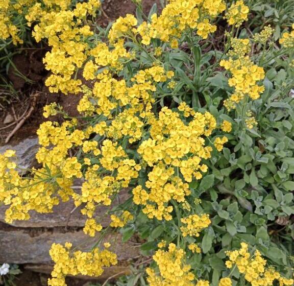 ベッドアンドブレックファースト Chambres Et Table D Hôtes La Combette