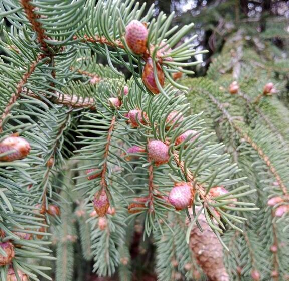 ベッドアンドブレックファースト Chambres Et Table D Hôtes La Combette