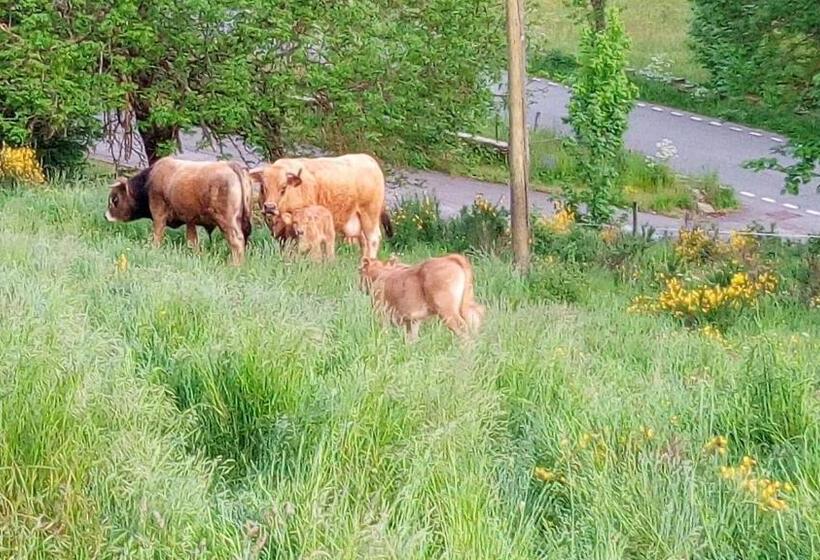 ベッドアンドブレックファースト Chambres Et Table D Hôtes La Combette