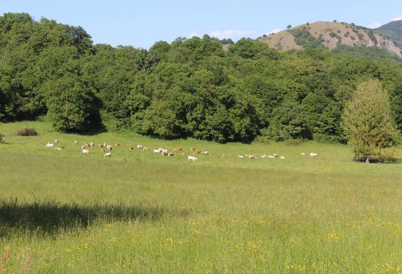 住宿加早餐  Du Cote De Lacoume