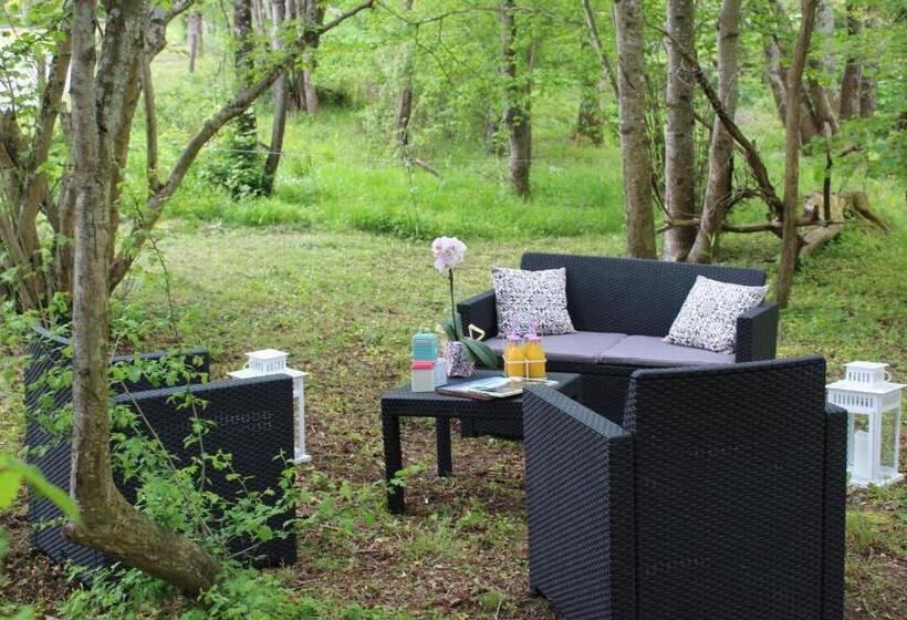 住宿加早餐  Du Cote De Lacoume