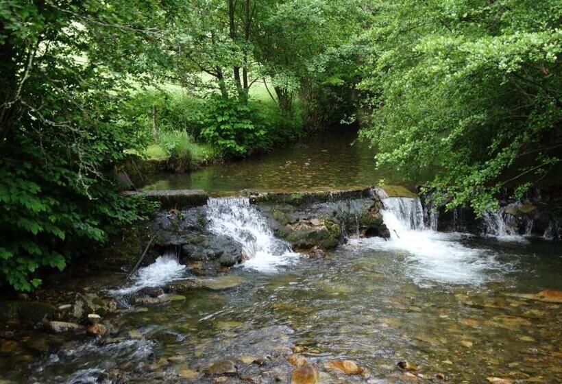 住宿加早餐  Du Cote De Lacoume