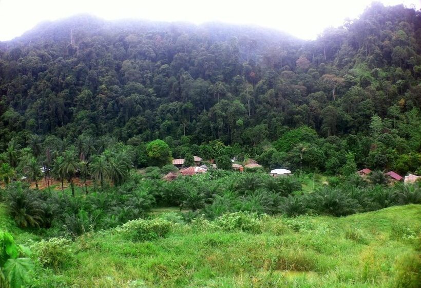 민박 Green Lodge Tangkahan