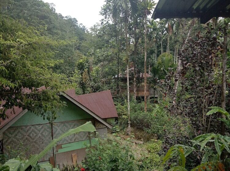 민박 Green Lodge Tangkahan