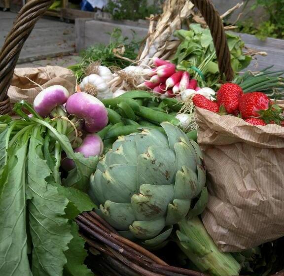 צימר Hôte Antique