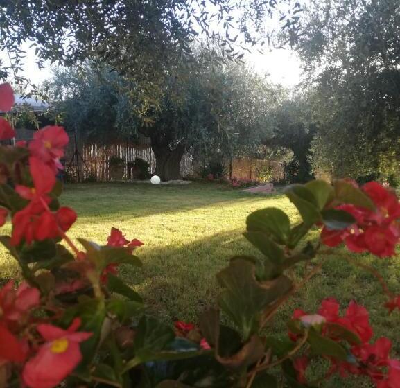 مبيت وإفطار Lory