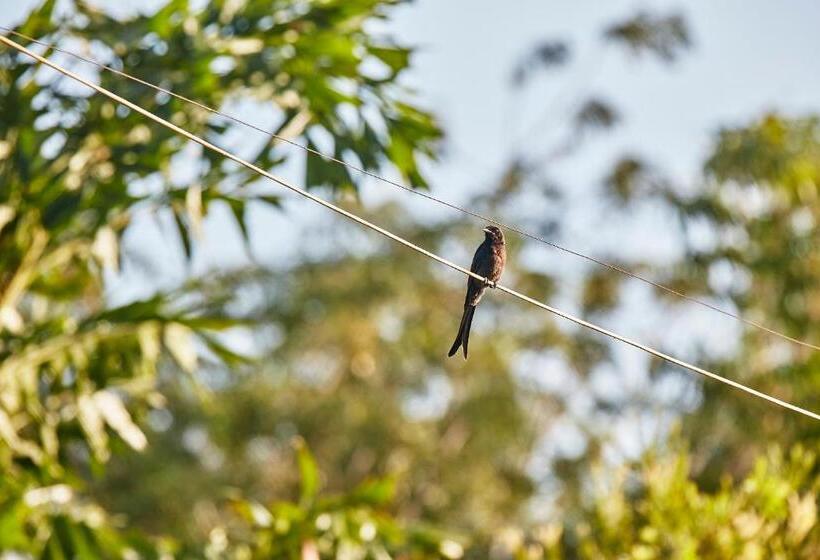 Holiday Valley Hotels And Resorts