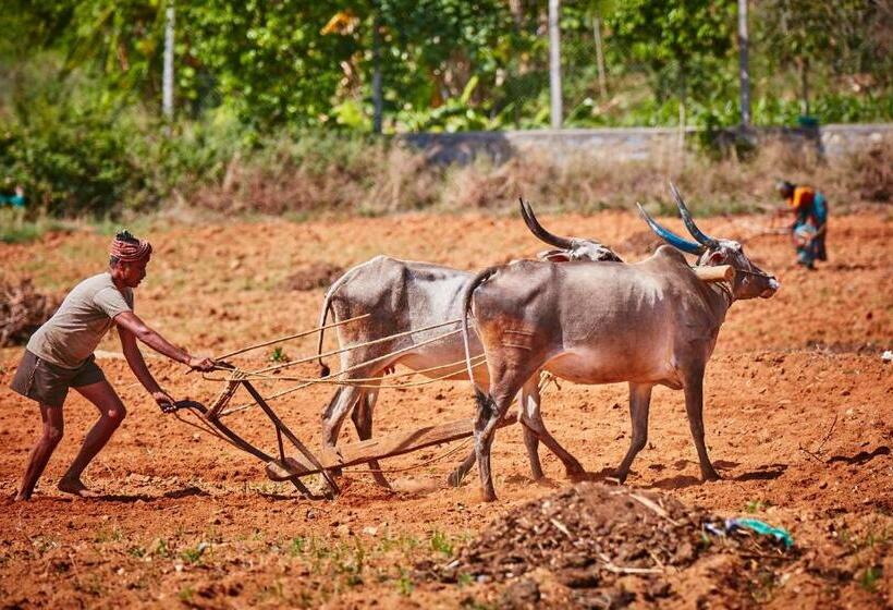 Holiday Valley Hotels And Resorts