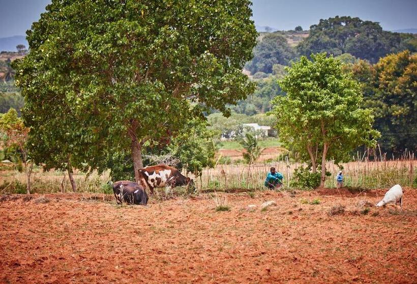 Holiday Valley Hotels And Resorts