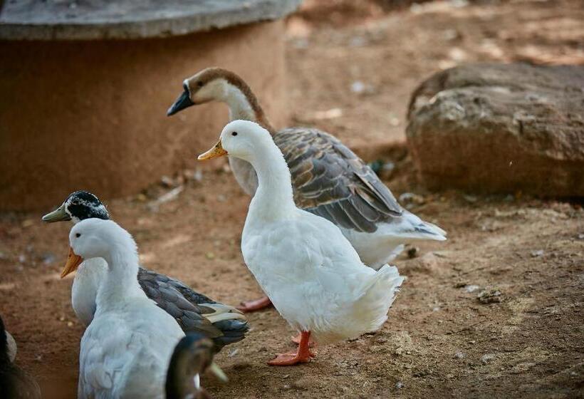 Holiday Valley Hotels And Resorts