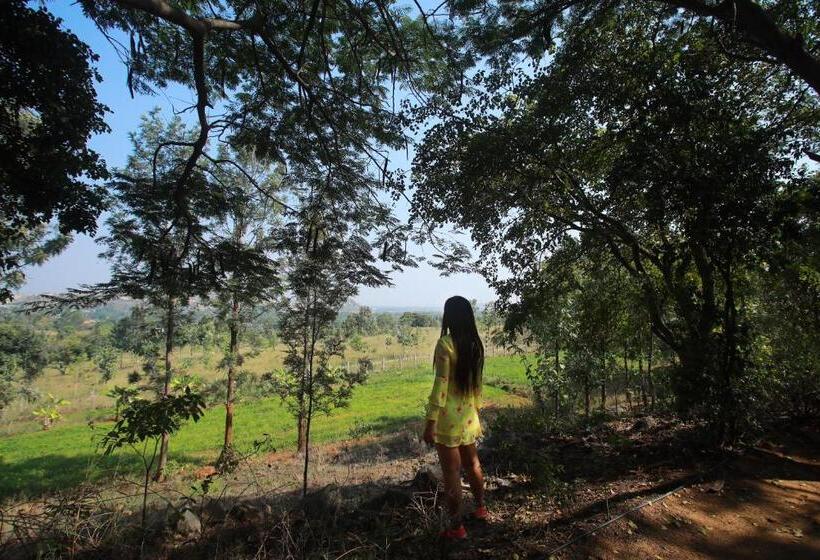 Holiday Valley Hotels And Resorts