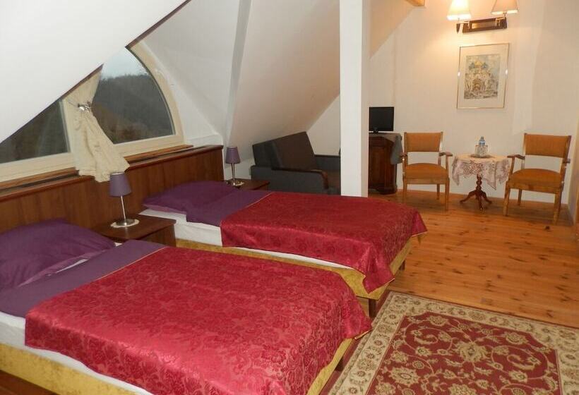 فندق فئة نجمة واحدة Dwór Strzyżew