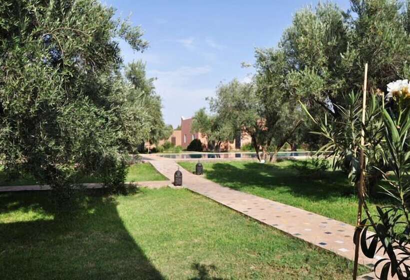 مسافرخانه Les Oliviers De L Atlas